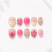 Sunset Seashells