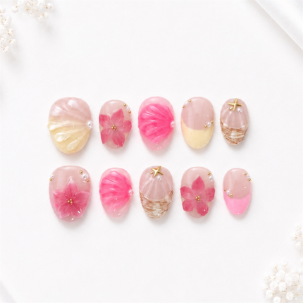 Sunset Seashells