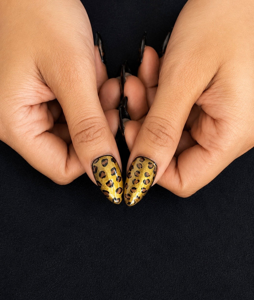 Golden Wildcat