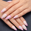 Blush Rose