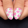 Blush Rose